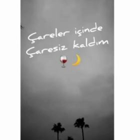CaresizCareler38
