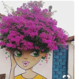 Burçakyrt