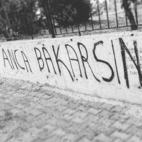 Saygın-Panda