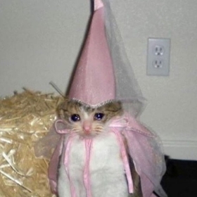 38118