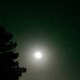 bunebiçimhikayeböyle