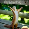 sahmaran54