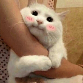 oykupyrz