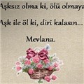 bitanemmmmm