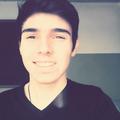 seflogam
