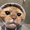 Brawler_