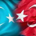 rizelipaçi