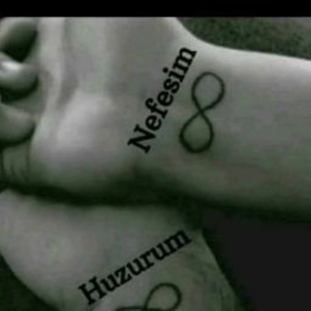 hazn3434