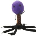Bacteriophage