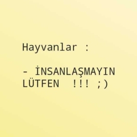 gizlikızgizli