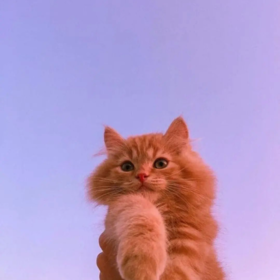 serenbeylik