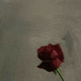 svvvsfv