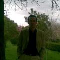 asetin81