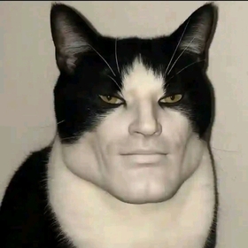börükan