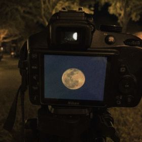 lunaarias