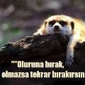 Kıvancjack