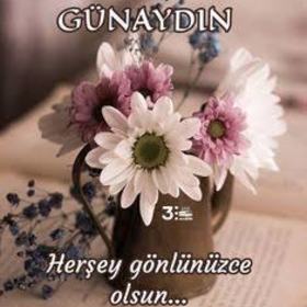 Şekerkizcandy_244