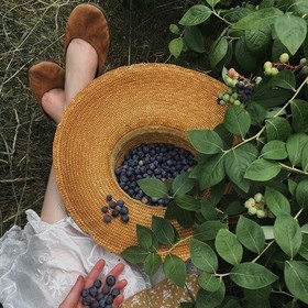 AdaZoya