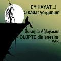 Murat1345