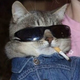 zdsude