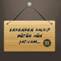 Emre749