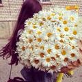 cicek_kiz