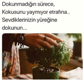 Gurbetçii35