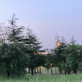 kitapçı11