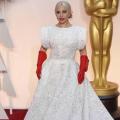 Ladygagasnm