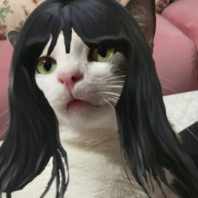 kittyjane