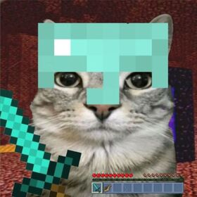 zenexaR