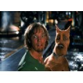 Shaggy