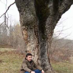 Halilkrtç