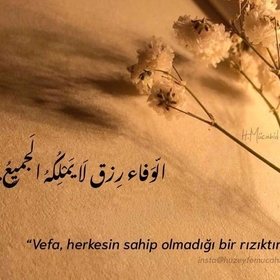 Burcu2081