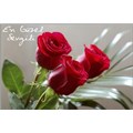 caferay