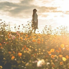 butterfly10