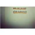 hadiordanbee