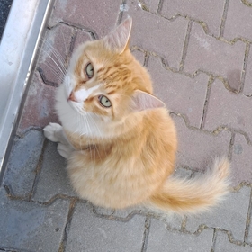 zeynep292