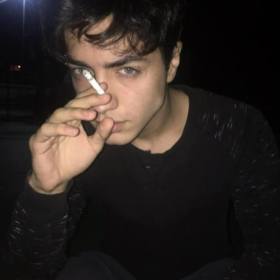 dogusakarx