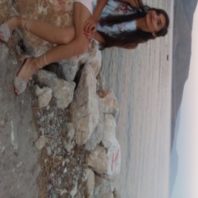 haasibee