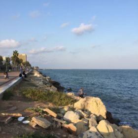 Birsevgili