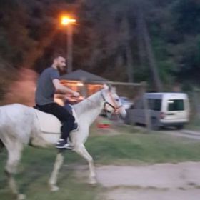Hayatadair5489