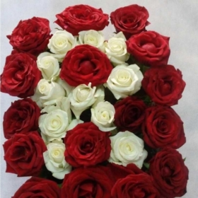 rabısunal
