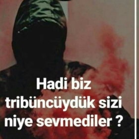 ultrasholigan