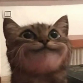 ööööylebirisiiii