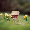 Tolga_-_