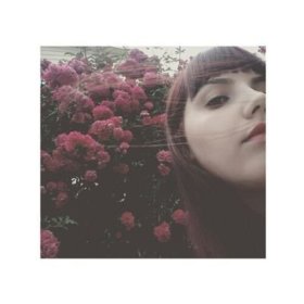 Theiridaa