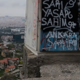 06alpet