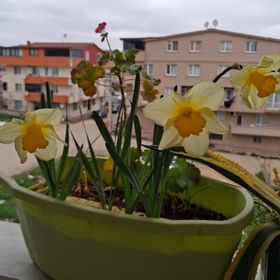 refikagulsernkorkmaz