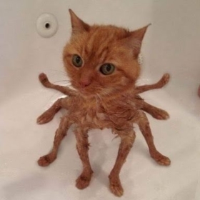 bkumuyeeg